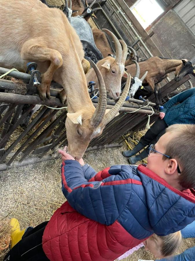 Kota à La Ferme *